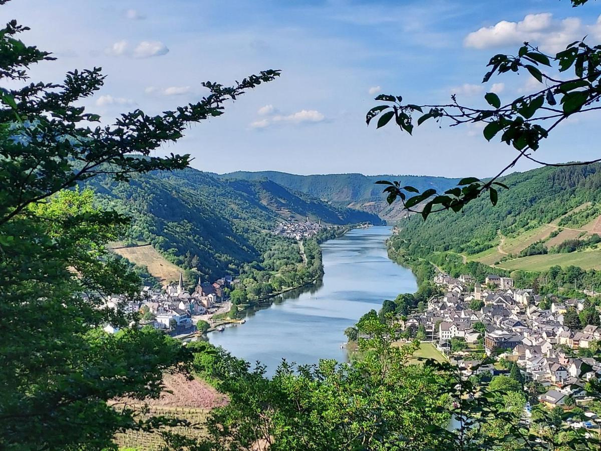 Ferienhaus Zum Prinzenkopf Alf Bagian luar foto